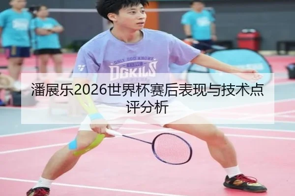 潘展乐2026世界杯赛后表现与技术点评分析